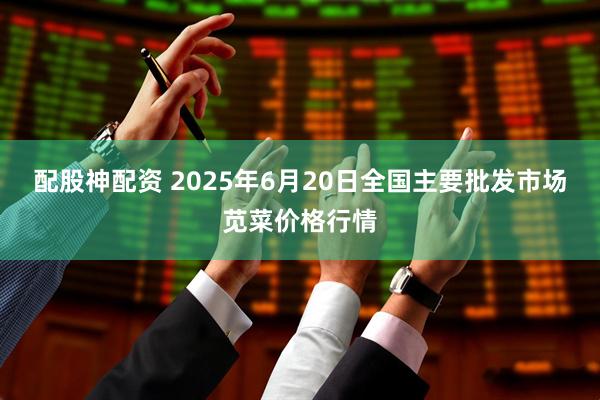 配股神配资 2025年6月20日全国主要批发市场苋菜价格行情