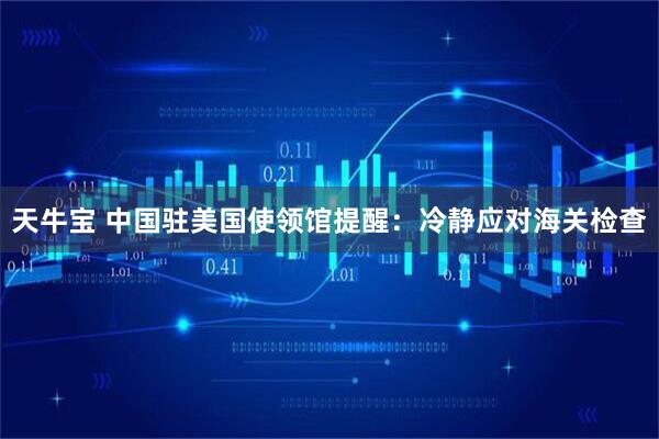 天牛宝 中国驻美国使领馆提醒：冷静应对海关检查