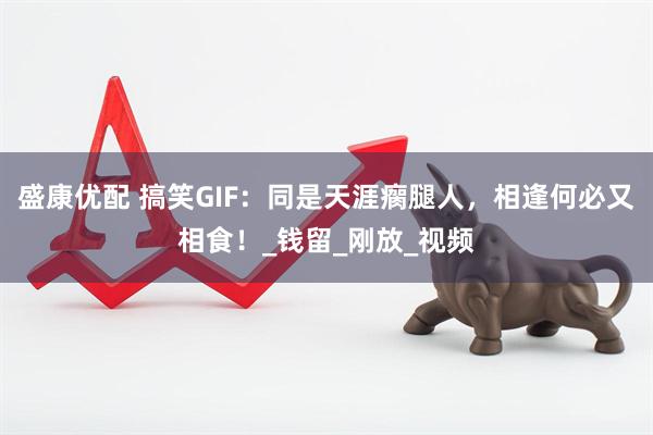 盛康优配 搞笑GIF：同是天涯瘸腿人，相逢何必又相食！_钱留_刚放_视频
