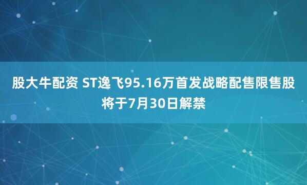 股大牛配资 ST逸飞95.16万首发战略配售限售股将于7月30日解禁