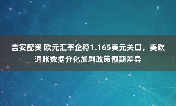 吉安配资 欧元汇率企稳1.165美元关口，美欧通胀数据分化加剧政策预期差异